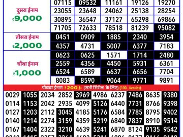 Lottery Result Today November 13, 2024