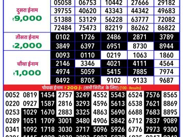 Lottery Result Today November 20, 2024