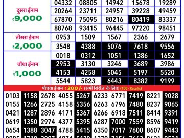 Lottery Result Today November 14, 2024