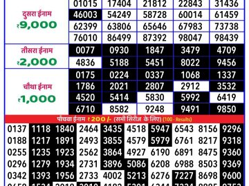 Lottery Result Today November 21, 2024