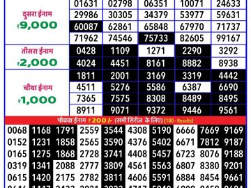 Lottery Result Today November 5, 2024