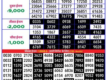 Lottery Result Today November 19, 2024