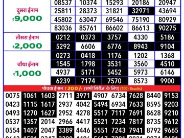 Lottery Result Today November 26, 2024