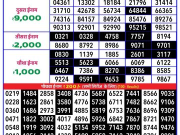 Lottery Result Today November 23, 2024