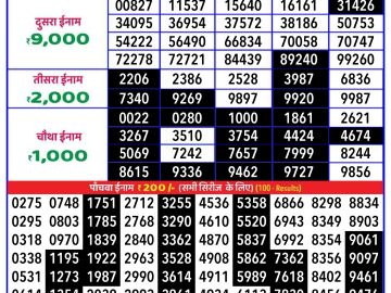 Lottery Result Today November 22, 2024