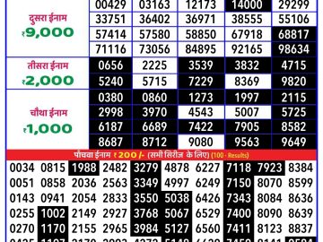 Lottery Result Today November 29, 2024