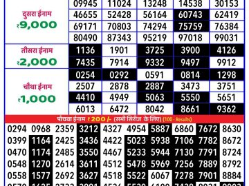 Lottery Result Today November 25, 2024