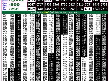 Lottery Result Today November 13, 2024