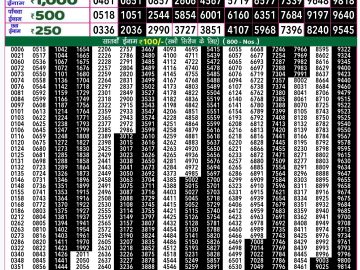 Lottery Result Today November 20, 2024