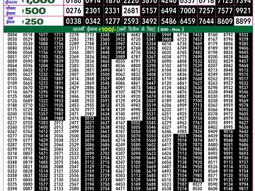 Lottery Result Today November 14, 2024