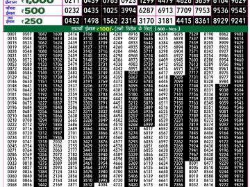 Lottery Result Today November 21, 2024