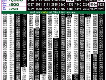 Lottery Result Today November 28, 2024