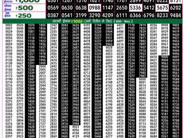 Lottery Result Today November 5, 2024