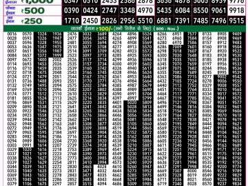 Lottery Result Today November 12, 2024