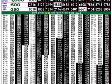 Lottery Result Today November 26, 2024