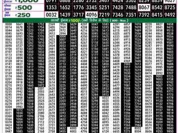 Lottery Result Today November 3, 2024