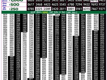 Lottery Result Today November 17, 2024