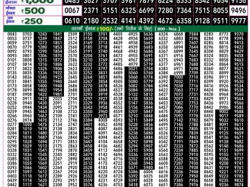 Lottery Result Today November 9, 2024