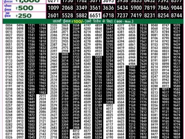 Lottery Result Today November 16, 2024