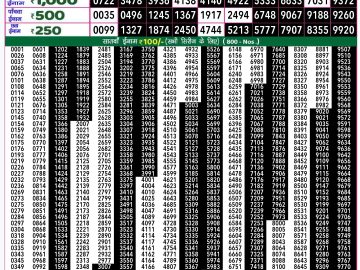 Lottery Result Today November 23, 2024