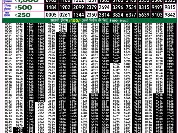 Lottery Result Today November 30, 2024