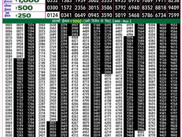 Lottery Result Today November 1, 2024