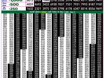 Lottery Result Today November 15, 2024