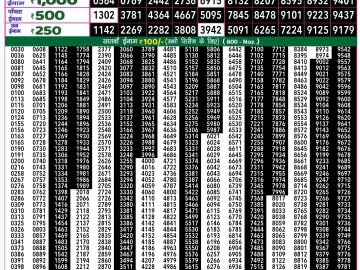 Lottery Result Today November 22, 2024