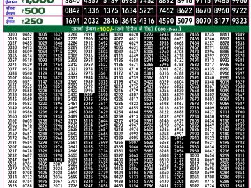 Lottery Result Today November 29, 2024