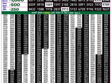 Lottery Result Today November 4, 2024