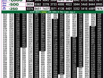 Lottery Result Today November 11, 2024