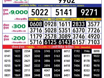 Lottery Result Today November 13, 2024