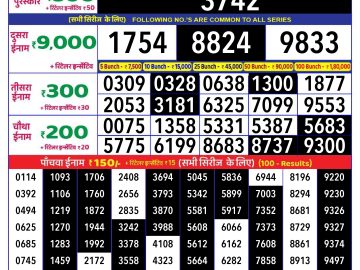 Lottery Result Today November 20, 2024