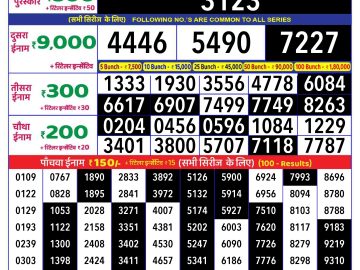 Lottery Result Today November 29, 2024