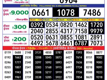 Lottery Result Today November 29, 2024