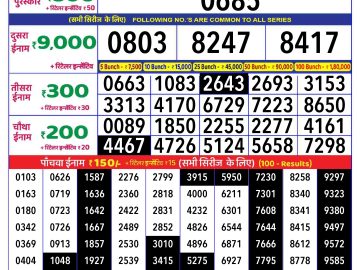 Lottery Result Today November 13, 2024