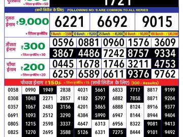 Lottery Result Today November 11, 2024