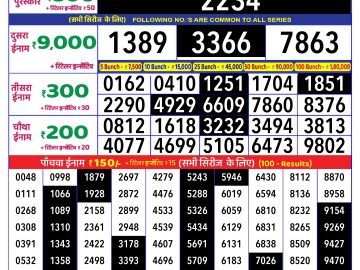 Lottery Result Today November 25, 2024