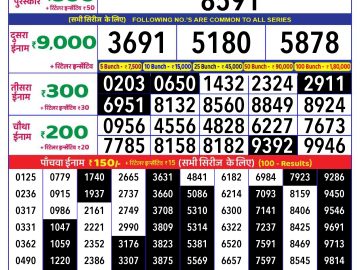 Lottery Result Today November 25, 2024