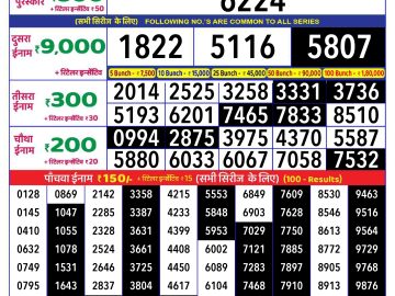 Lottery Result Today November 19, 2024