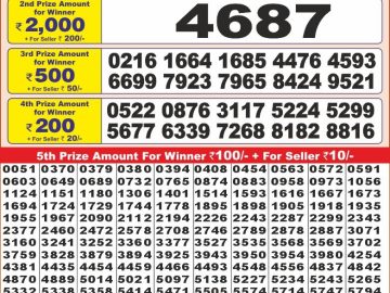 Lottery Result Today November 15, 2024