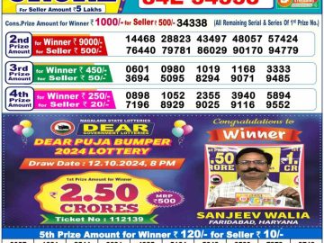 Lottery Result Today November 23, 2024