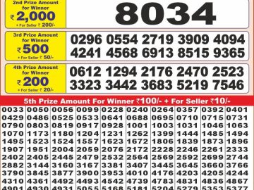 Lottery Result Today November 23, 2024