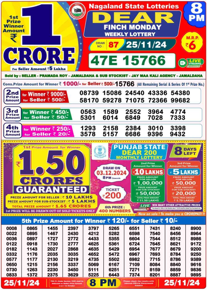 Lottery Result Today November 25, 2024