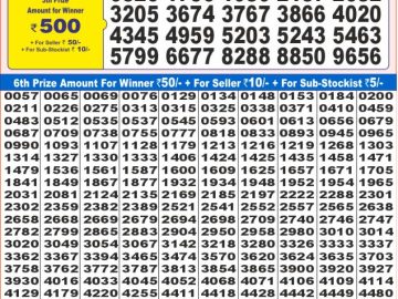 Lottery Result Today November 14, 2024