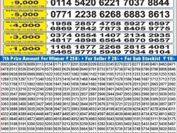 Lottery Result Today November 26, 2024