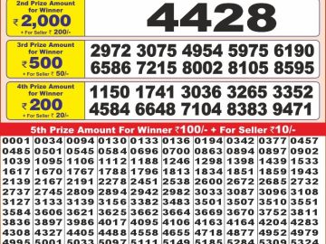 Lottery Result Today November 20, 2024