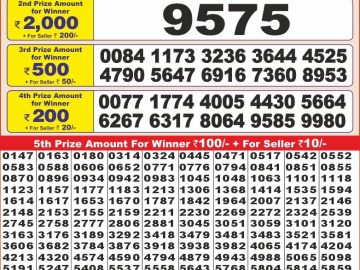 Lottery Result Today November 12, 2024