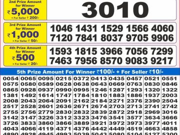 Lottery Result Today November 11, 2024