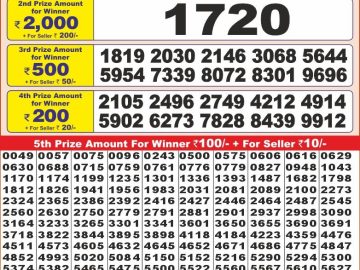 Lottery Result Today November 14, 2024